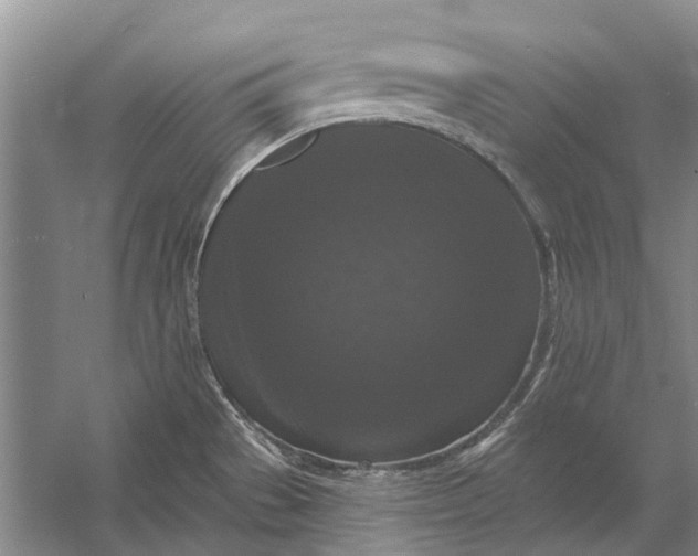 X0000056351529200509161748