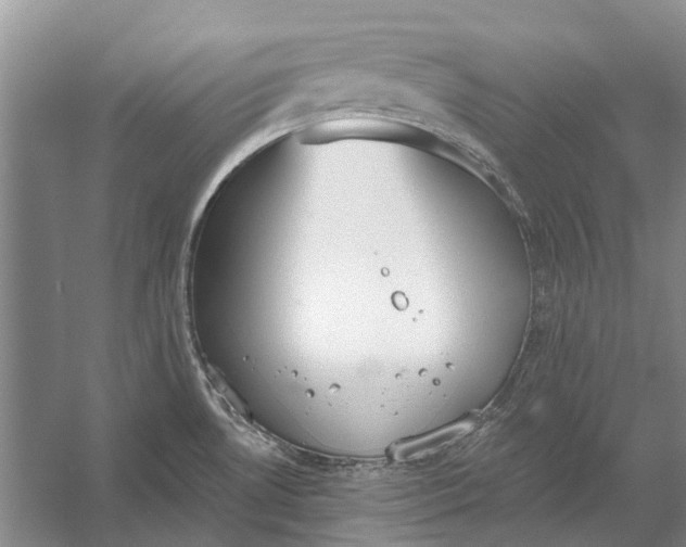 X0000056351530200509161749