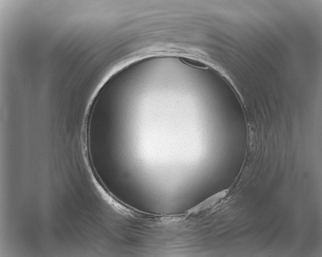 X0000056351531200509161749