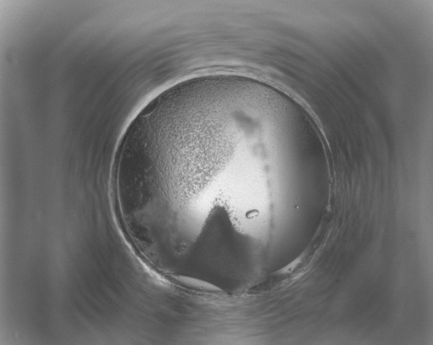 X0000056351533200509161749