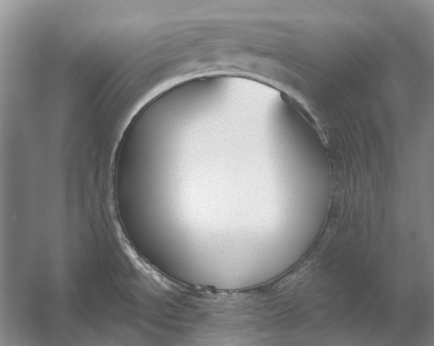 X0000056351534200509161749