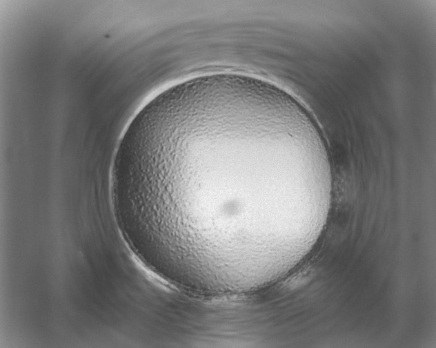 X0000056351535200509161749