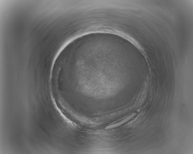 X0000056351536200509161749