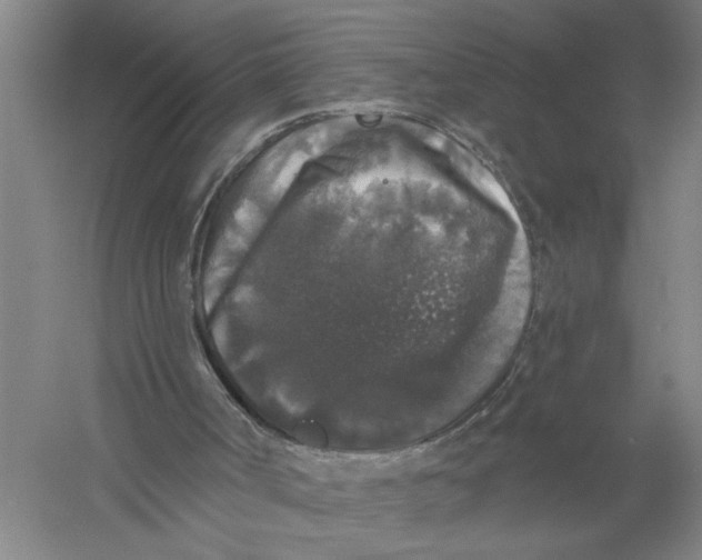 X0000056350002200509232117