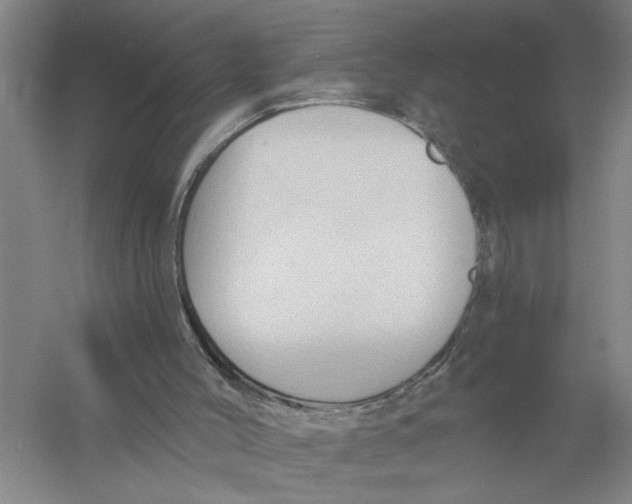 X0000056350004200509232117