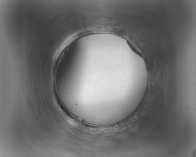 X0000056350005200509232117