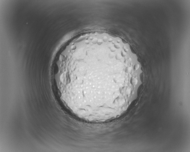 X0000056350006200509232117