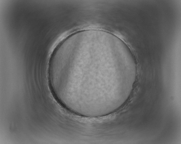 X0000056350007200509232117