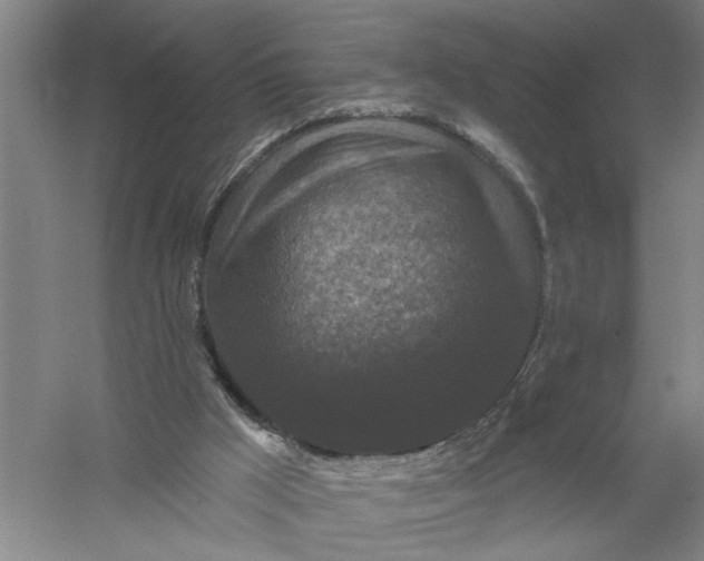 X0000056350009200509232117