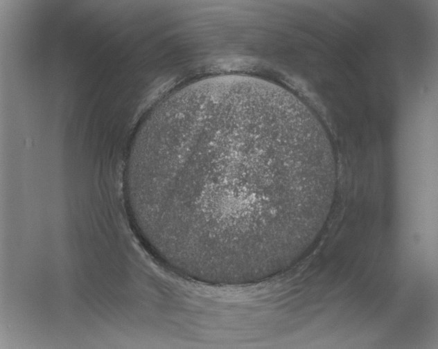 X0000056350010200509232117