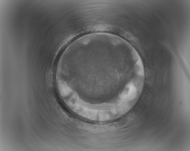 X0000056350012200509232117