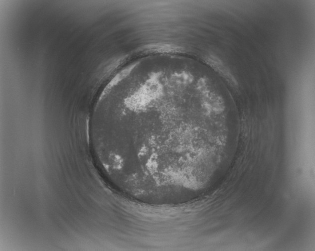 X0000056350014200509232117