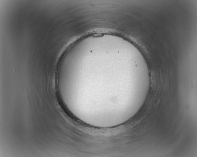 X0000056350015200509232117