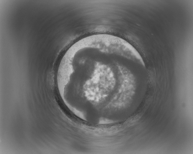 X0000056350016200509232117