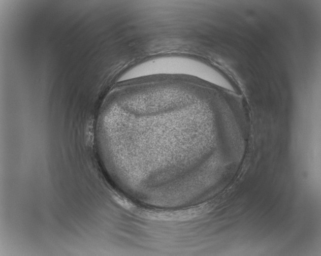 X0000056350017200509232117