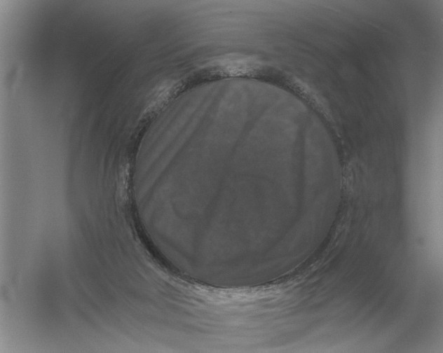 X0000056350018200509232117