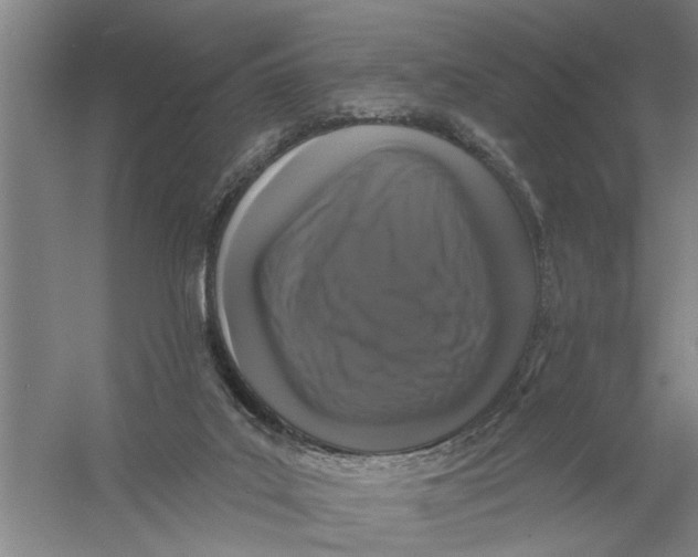 X0000056350019200509232117