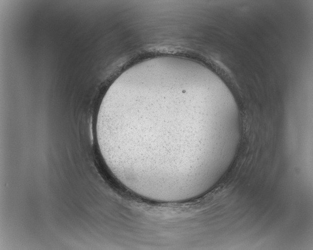 X0000056350020200509232117