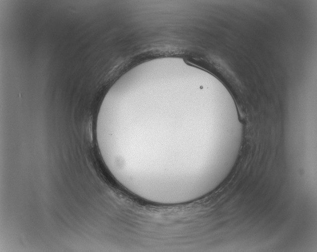 X0000056350021200509232117