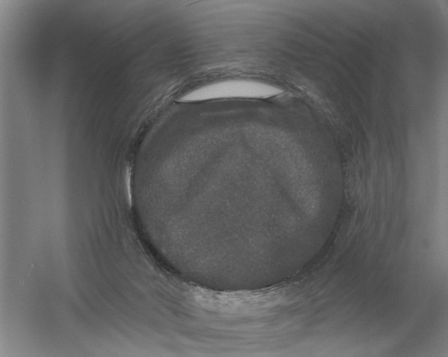 X0000056350022200509232117