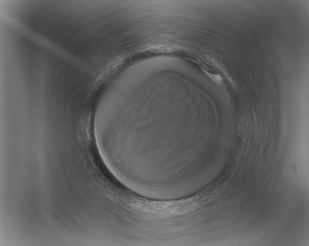 X0000056350023200509232117