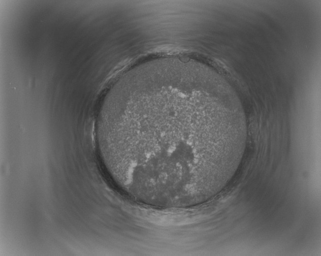 X0000056350024200509232117