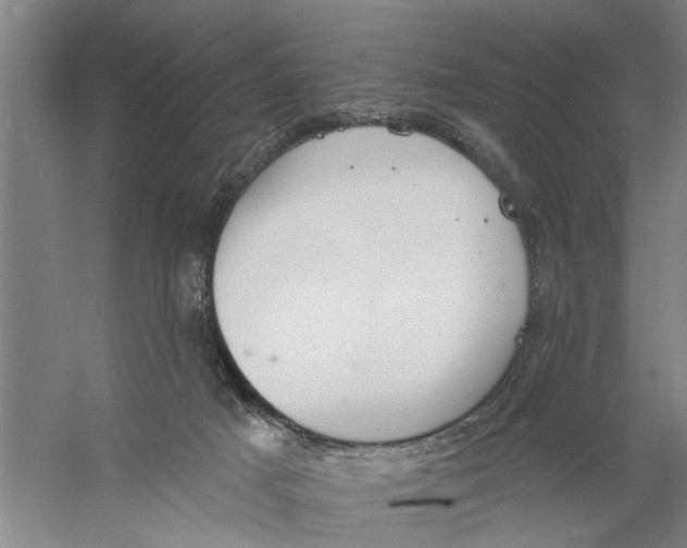 X0000056350025200509232117