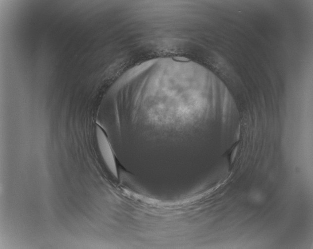 X0000056350029200509232117