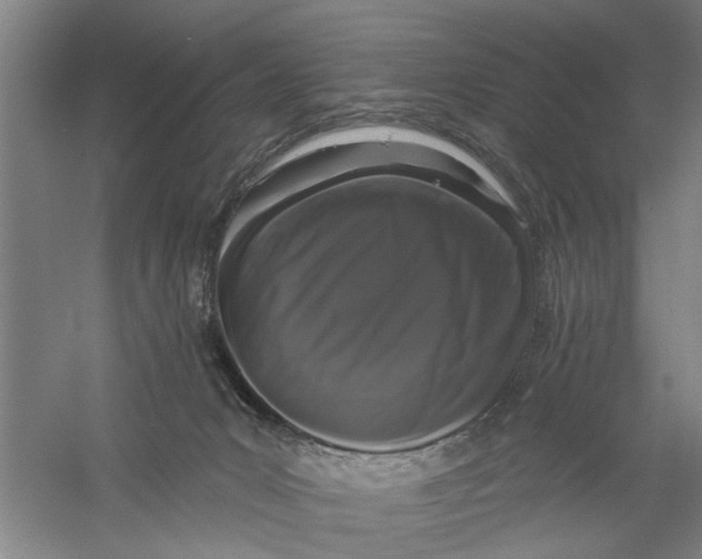 X0000056350031200509232117