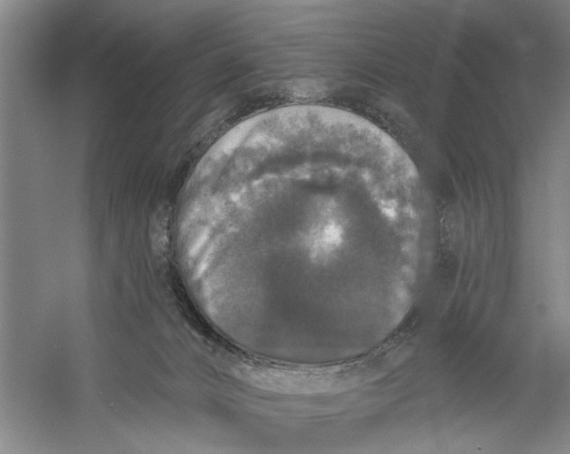 X0000056350032200509232117