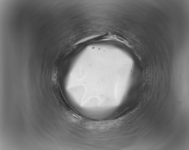 X0000056350033200509232117