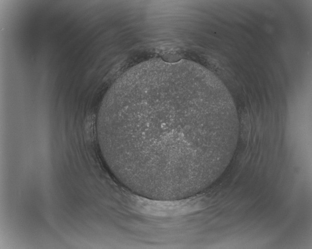 X0000056350034200509232117