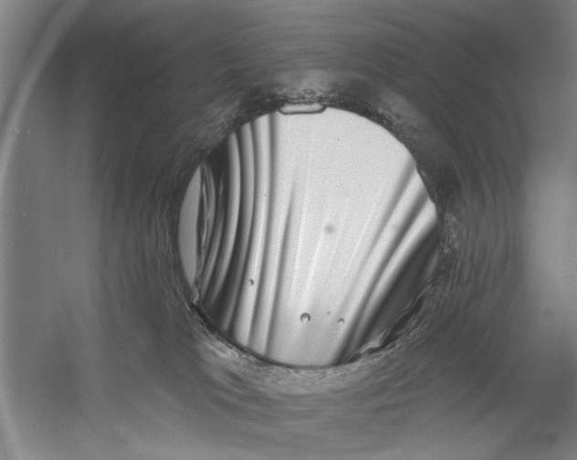 X0000056350037200509232117