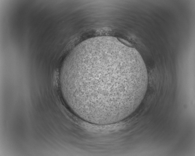 X0000056350038200509232117