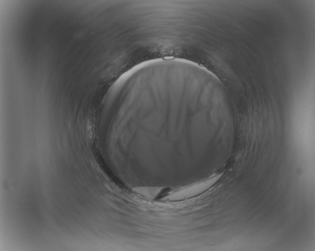 X0000056350039200509232117