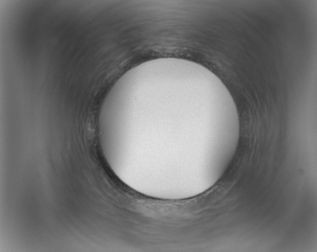 X0000056350040200509232117