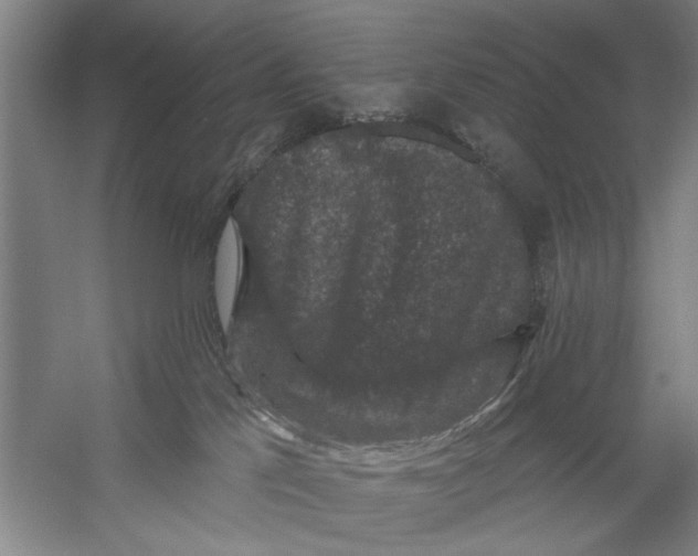 X0000056350041200509232117