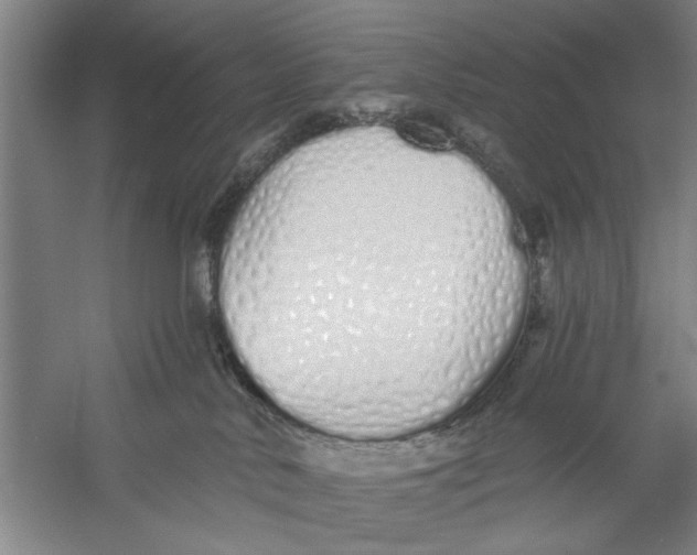 X0000056350042200509232117