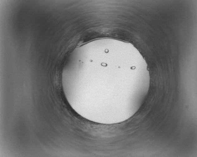 X0000056350044200509232117