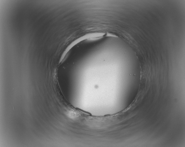 X0000056350045200509232117