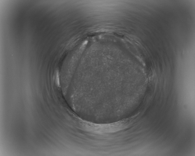 X0000056350046200509232117