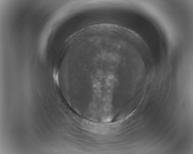 X0000056350047200509232117