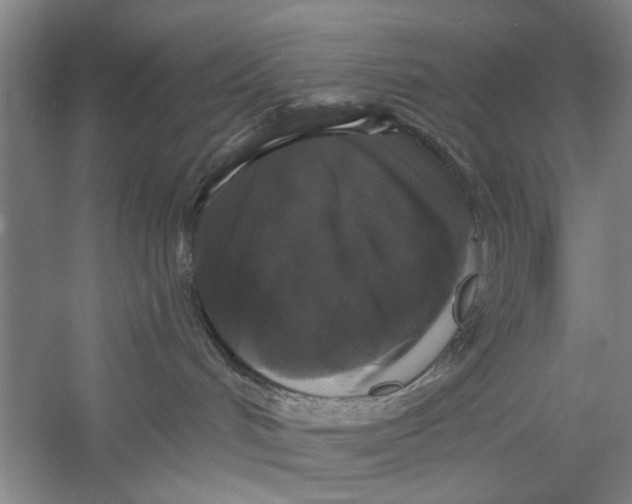 X0000056350048200509232117