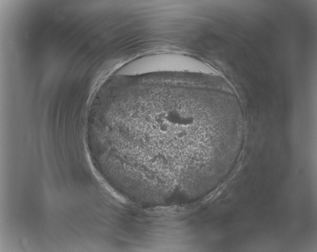 X0000056350049200509232116