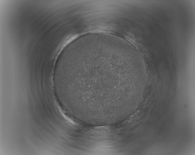 X0000056350050200509232116