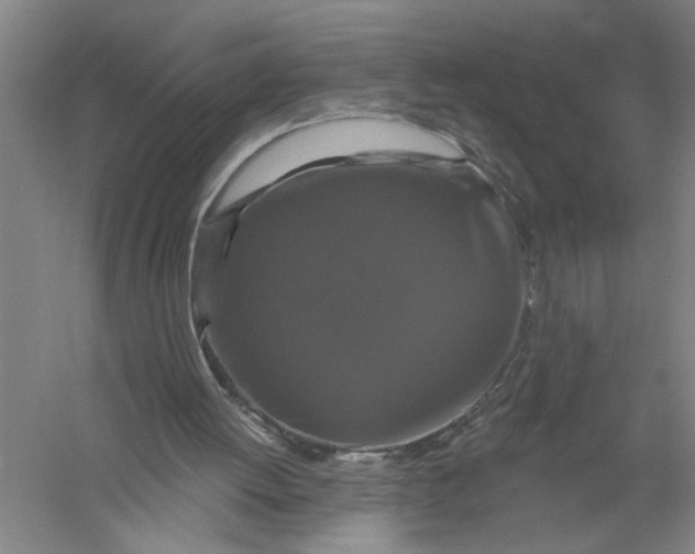 X0000056350052200509232116