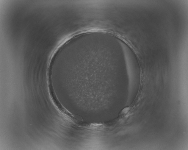 X0000056350055200509232116