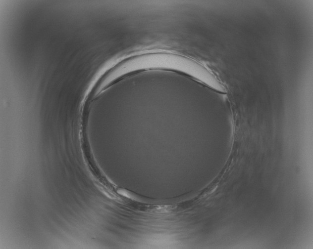 X0000056350056200509232116