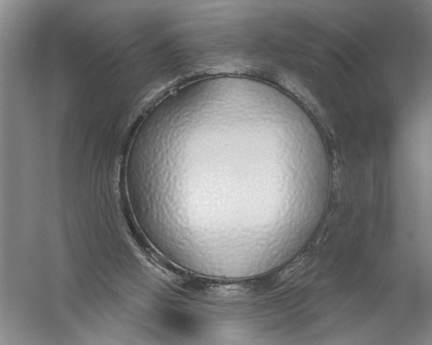 X0000056350058200509232116