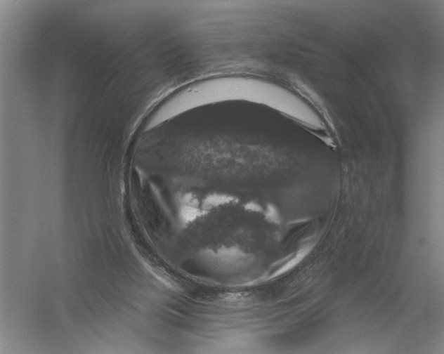 X0000056350059200509232116